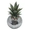 Disco's new cross-border candlestick, succulent glass potted plant decoration, simulated plant ornaments, indoor green plant landscape decoration, glass candlestick, succulent plant arrangement Item Picture